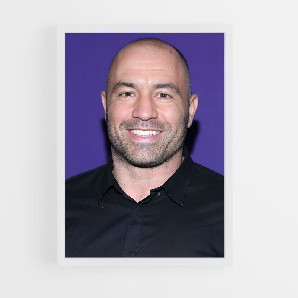 Poster The Joe Rogan Experience – affiche MMA (vue 3)